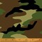 Fabric Windham Green Camo 108" Quilt Back by the Quarter Yard 51463-1